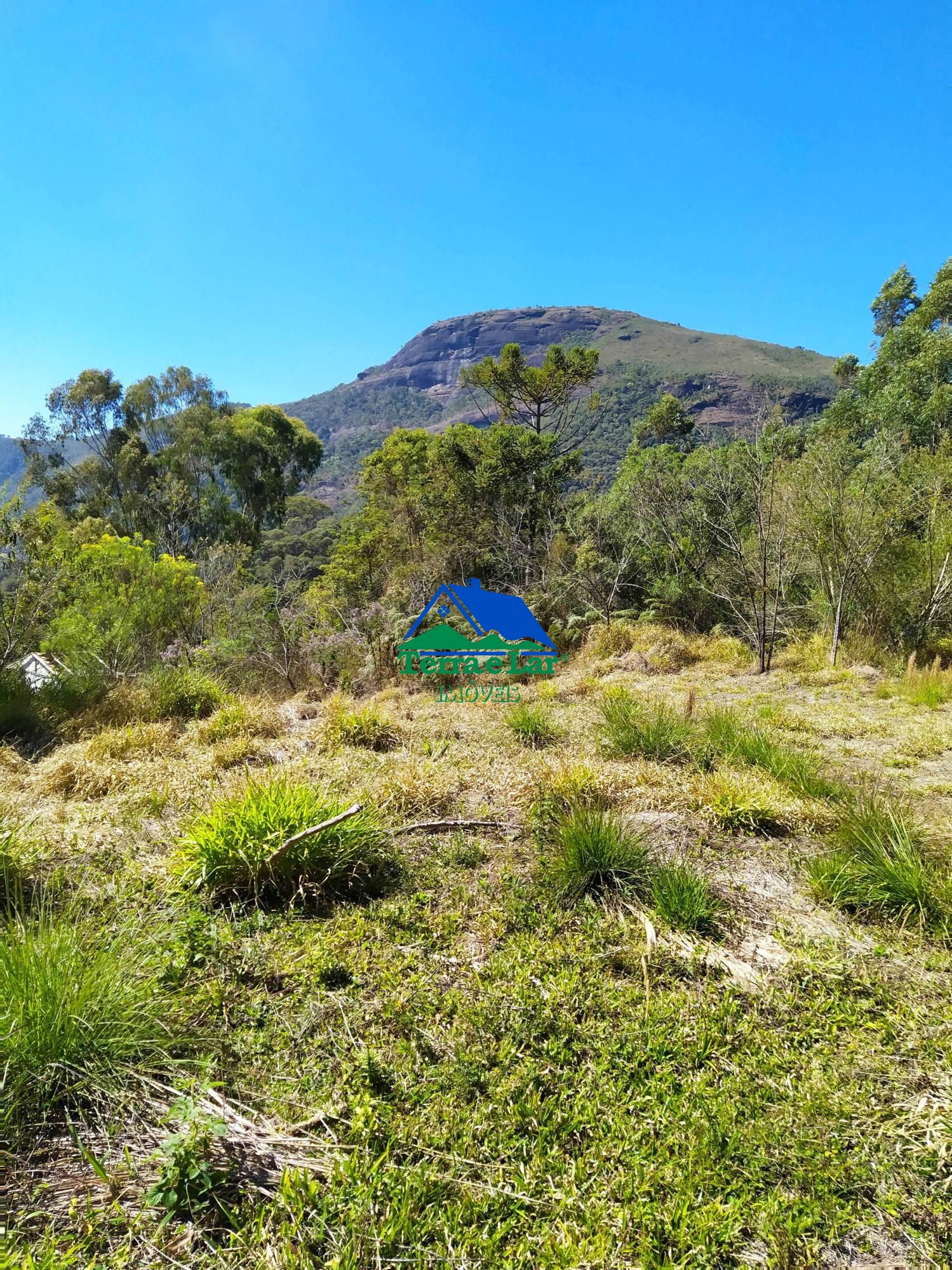 Terreno à venda, 20000m² - Foto 1