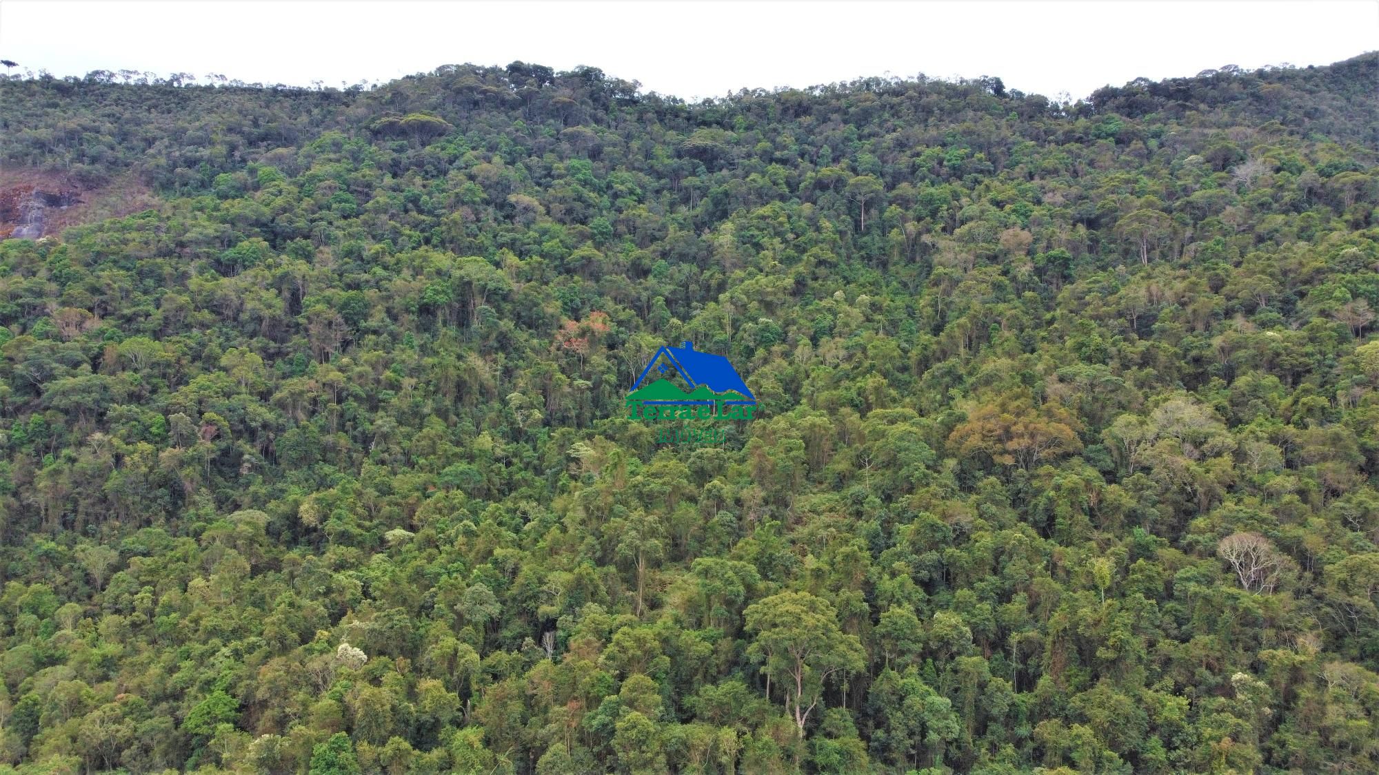 Terreno à venda, 470000m² - Foto 1