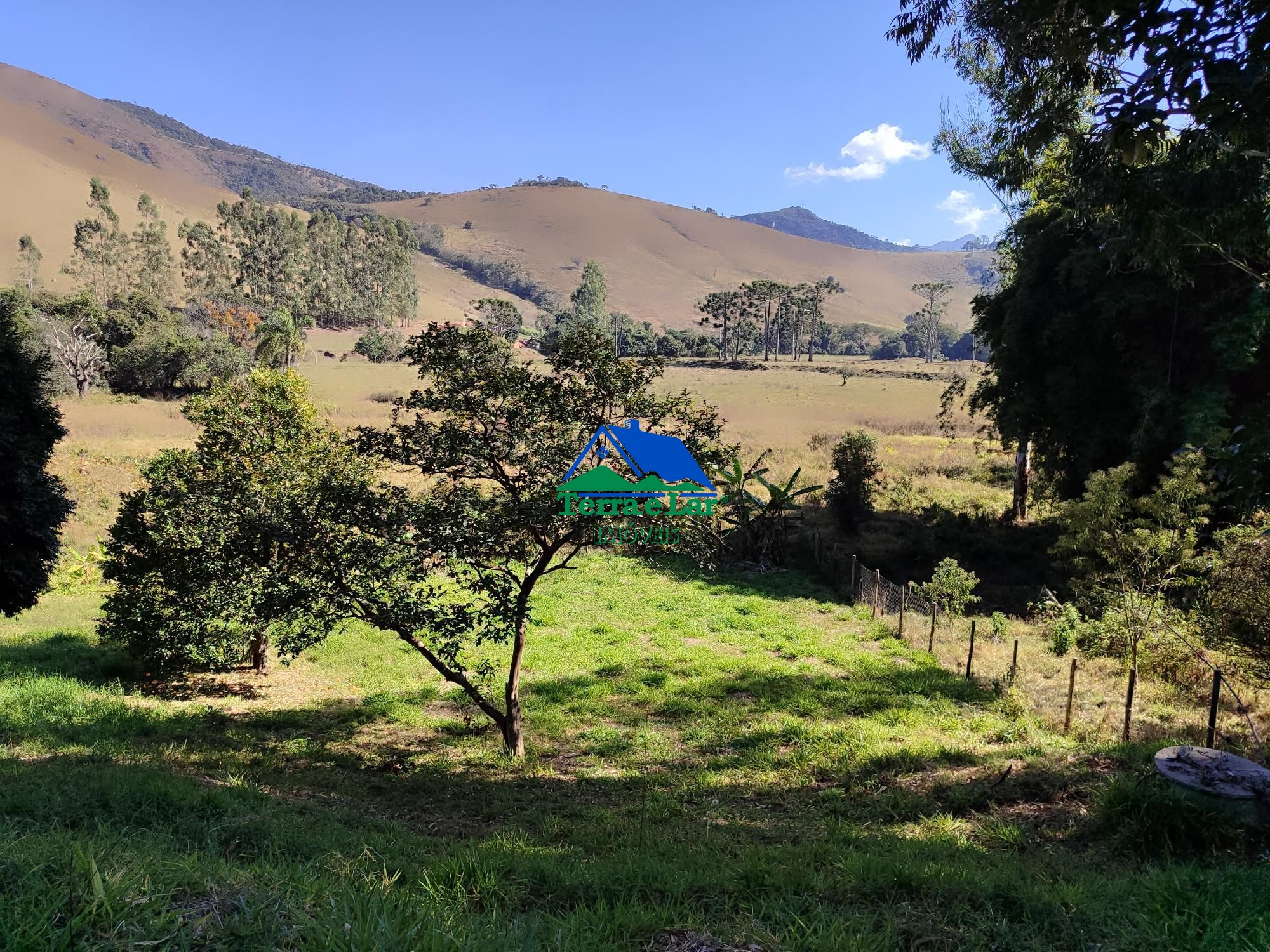 img253238769