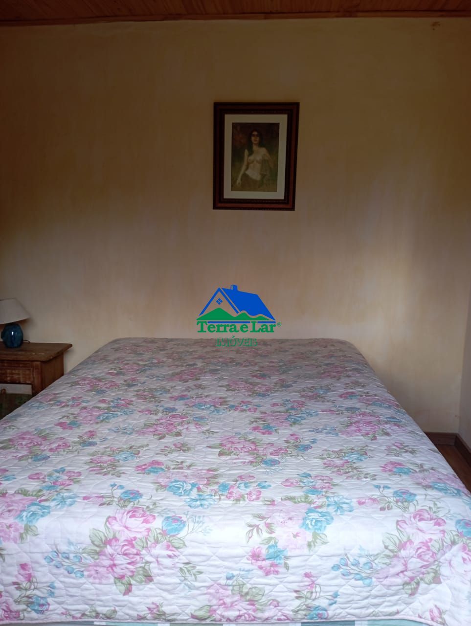 img202006373