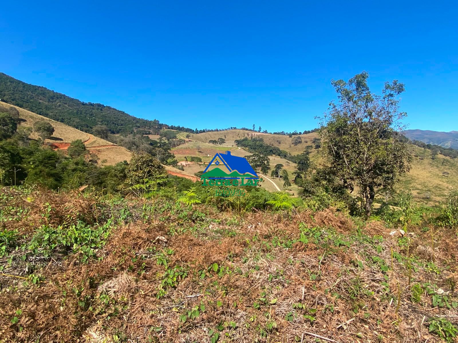 Fazenda/sítio/chácara/haras à venda, 150.000 m² por R$ 328.000,00 Fazenda/sítio/chácara/haras à venda, 150.000 m² por R$ 328.000,00