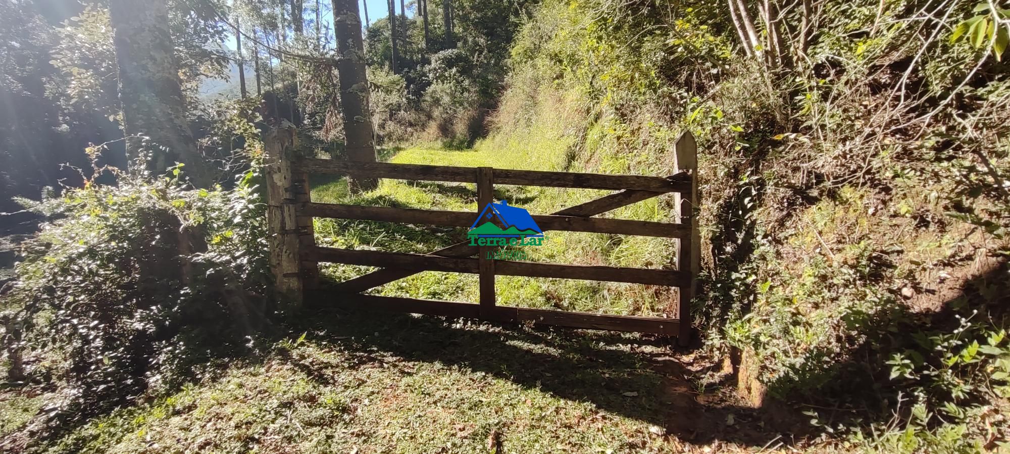 Sítio, 3 quartos, 18 hectares - Foto 4