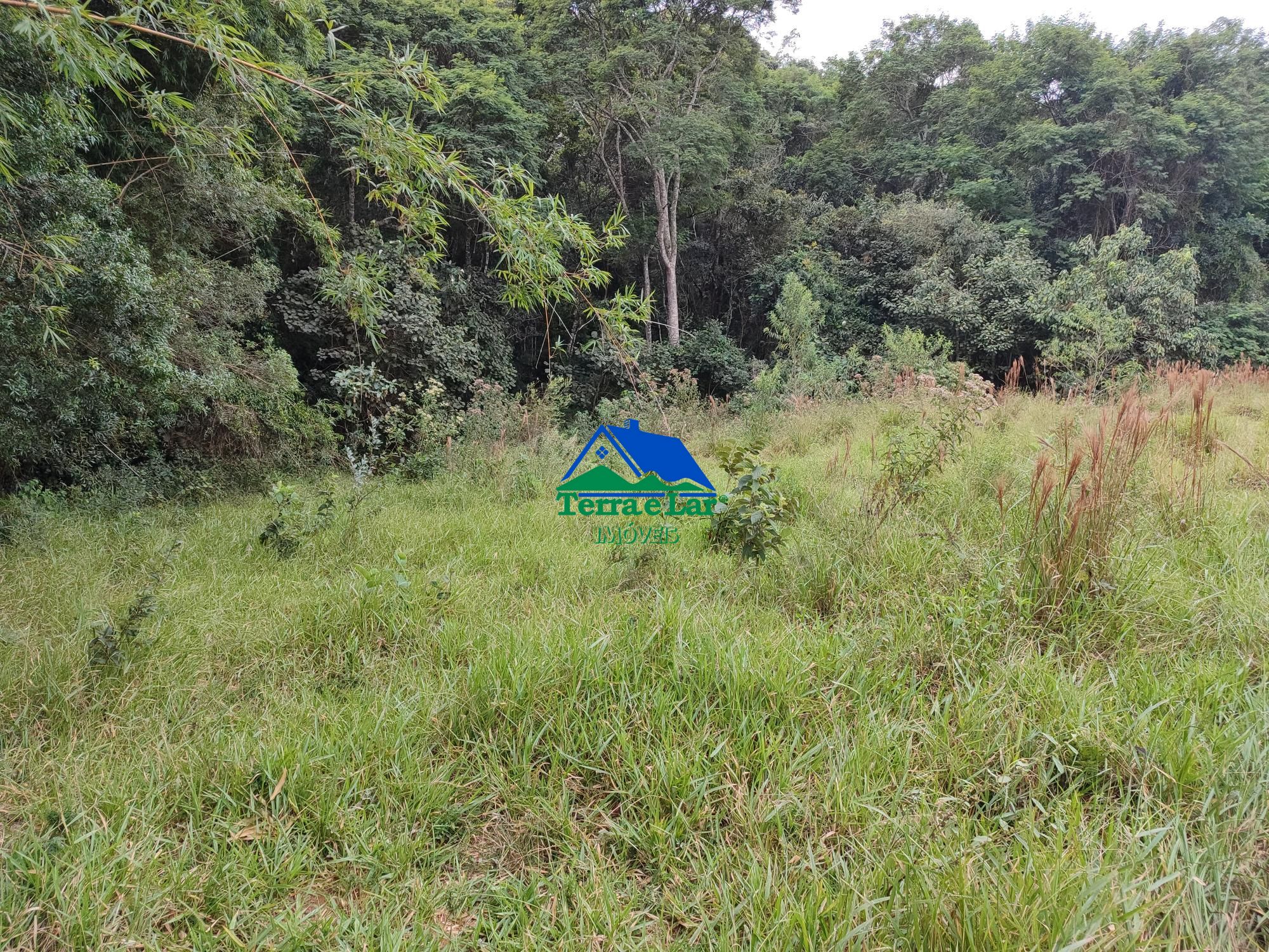 img192473977