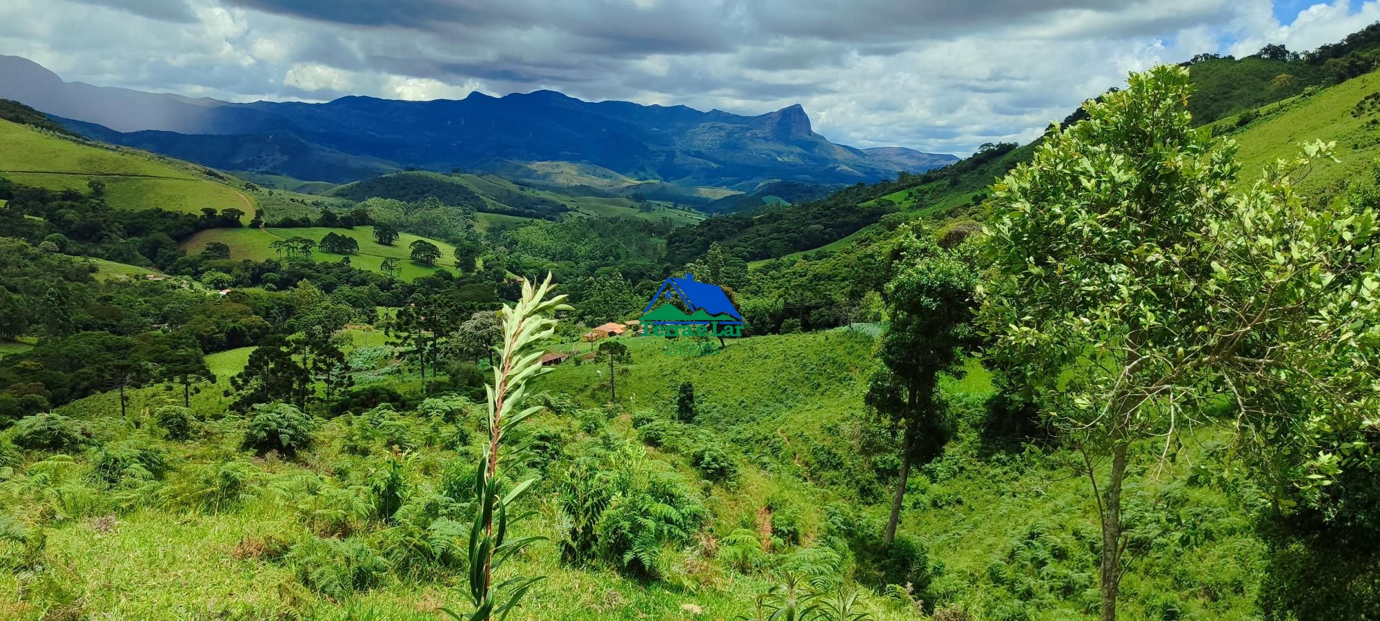 Terreno à venda, 460000m² - Foto 6