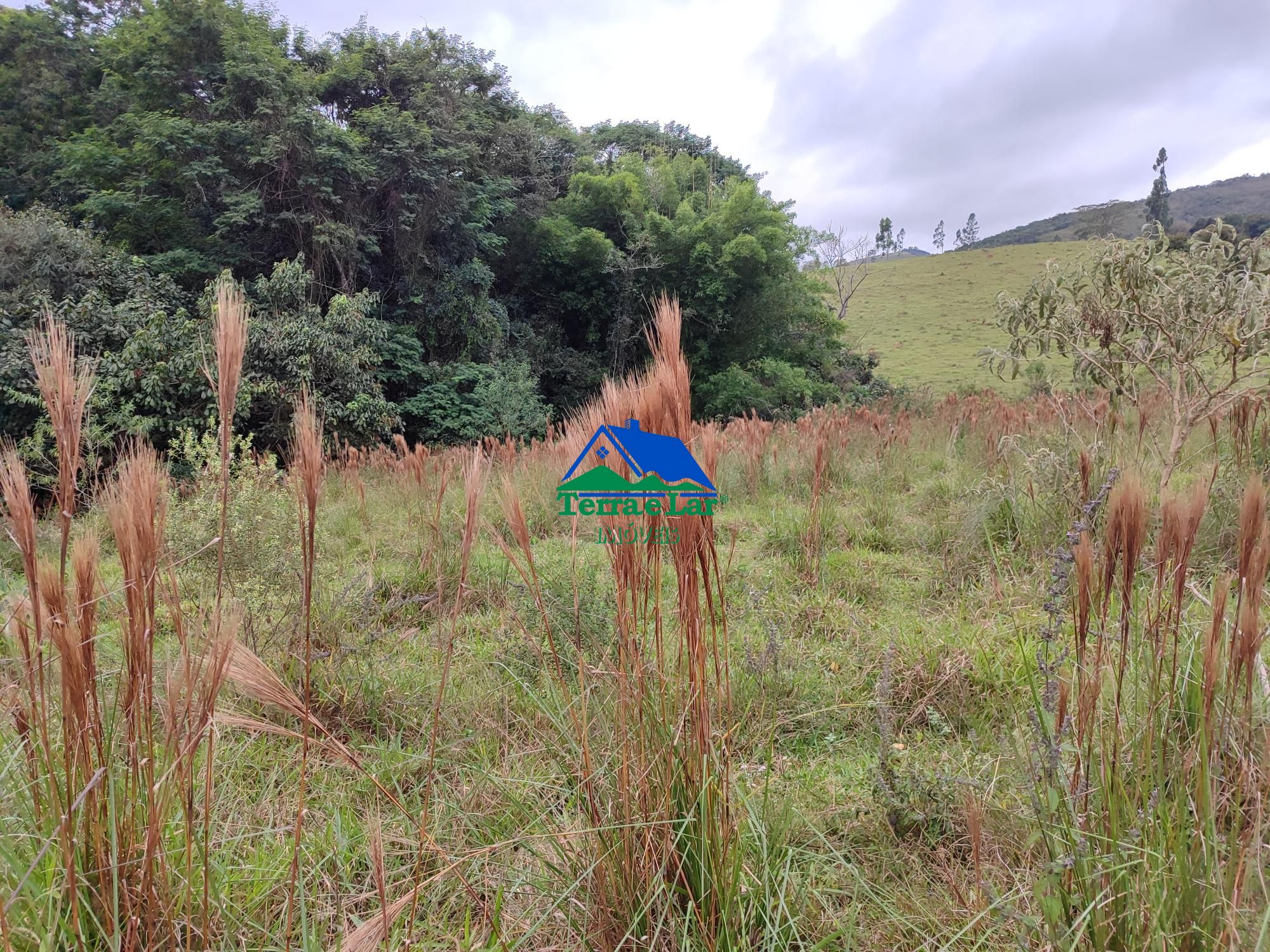 img192473972