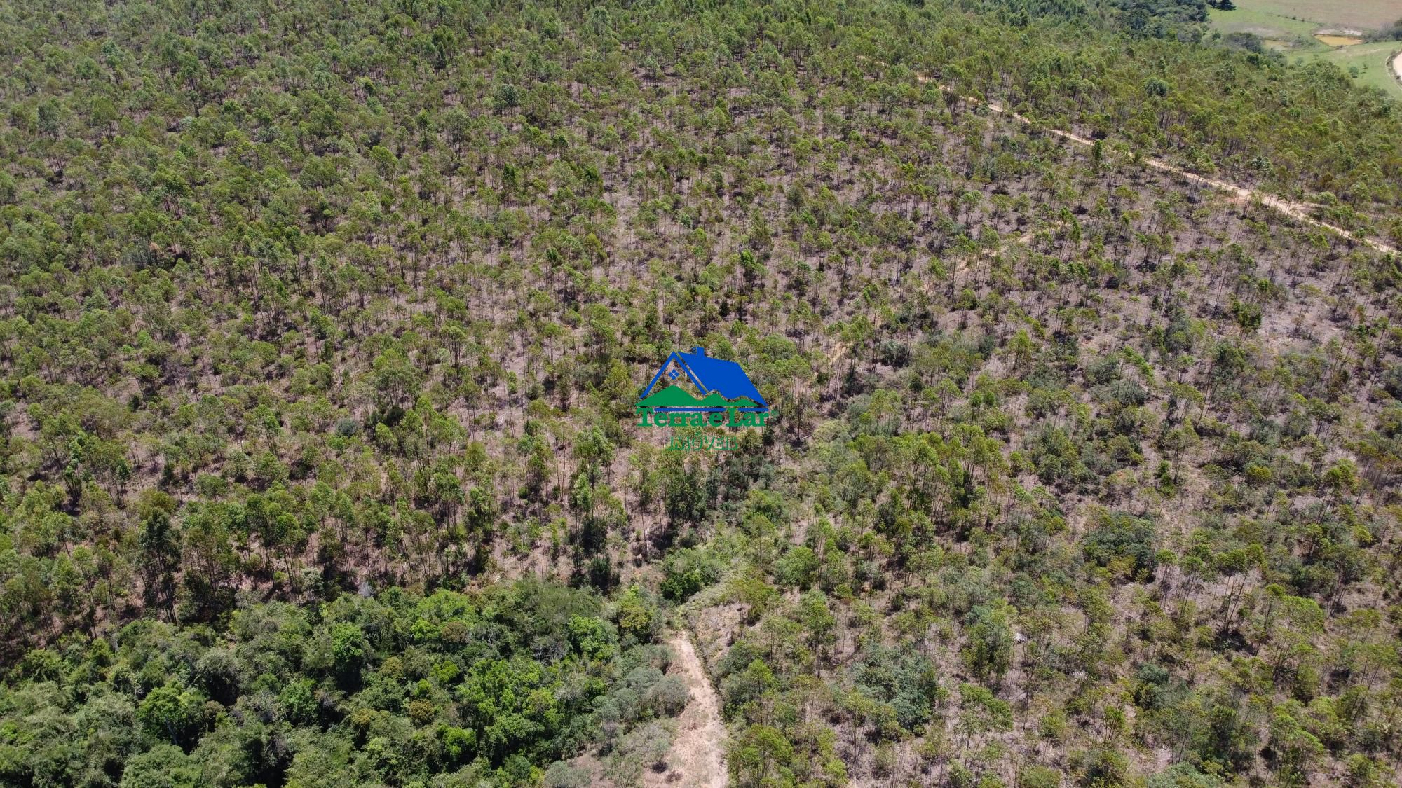 Fazenda à venda, 10m² - Foto 6