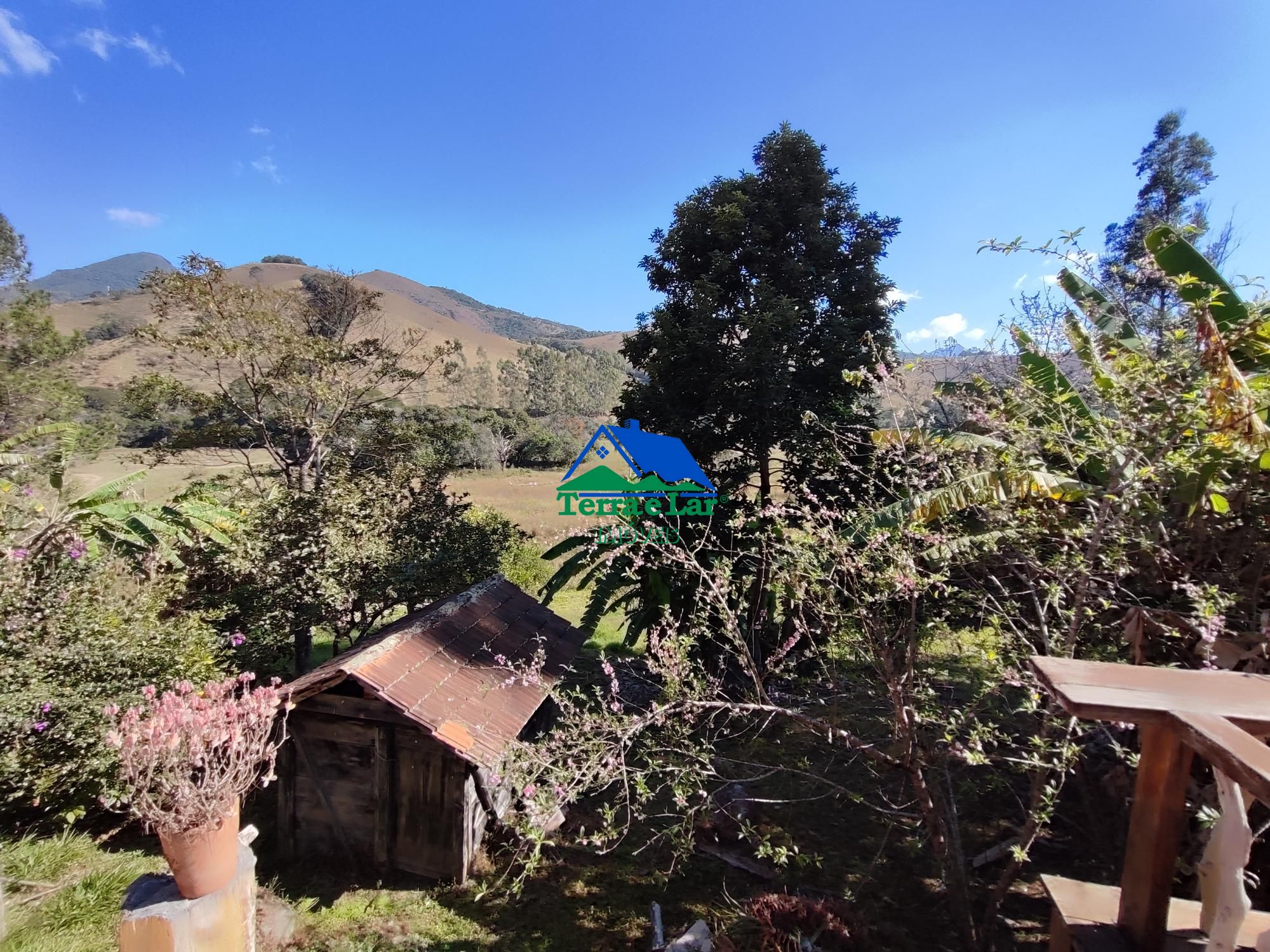 img253238747