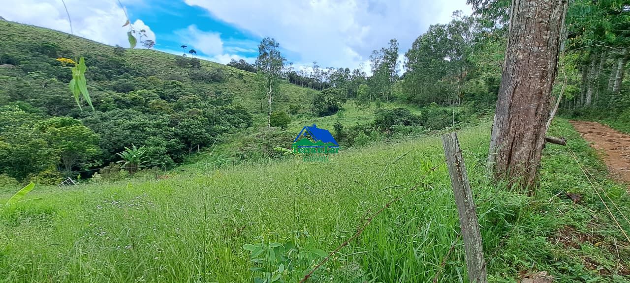 Chácara, 3 hectares - Foto 1