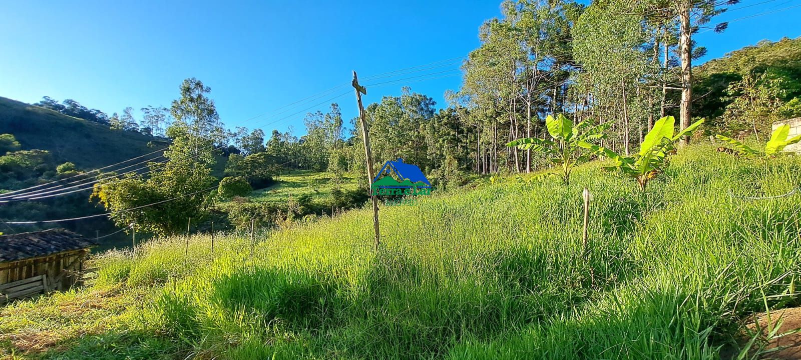 Chácara, 4 hectares - Foto 1