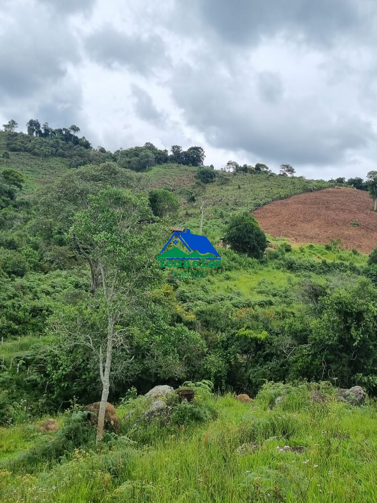 Fazenda à venda com 2 quartos, 60m² - Foto 7