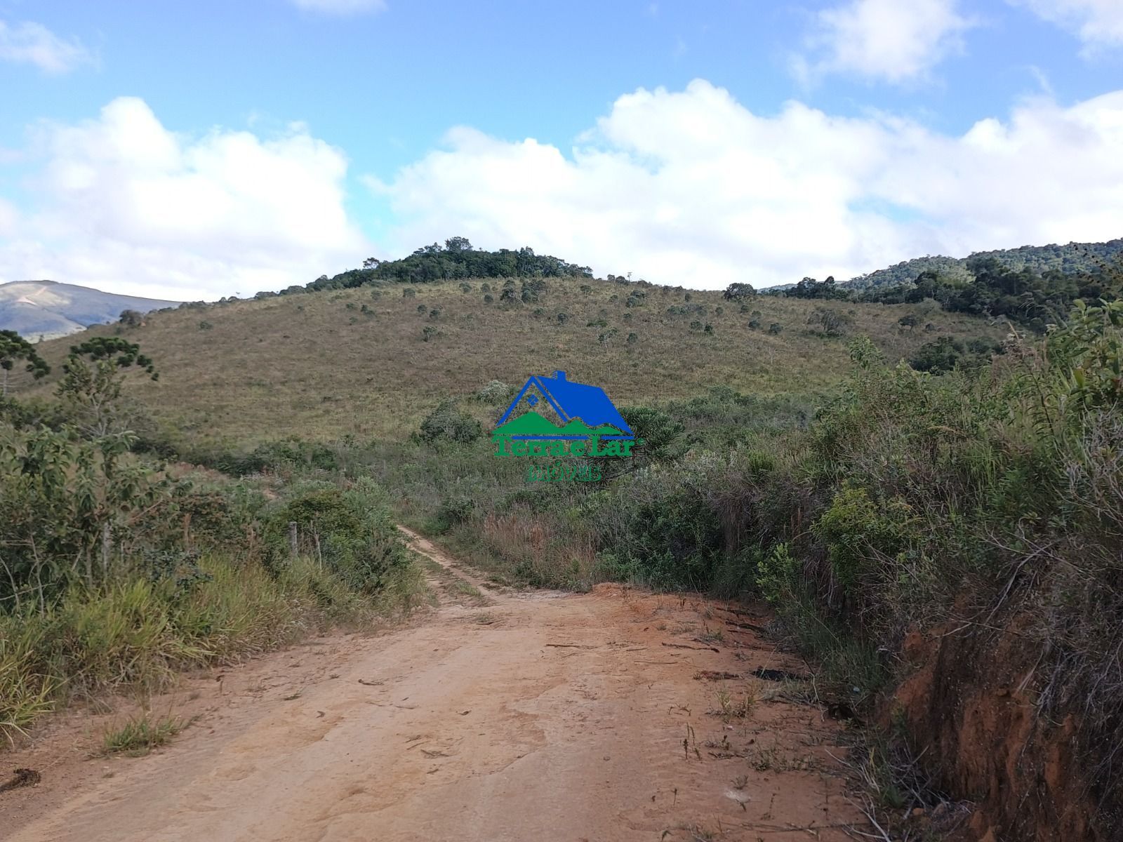 img335624165