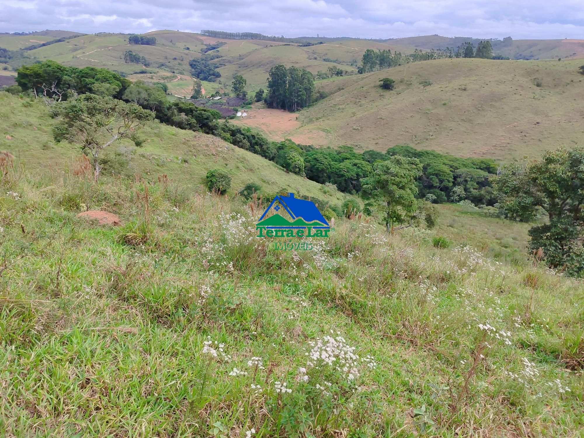 img192473959