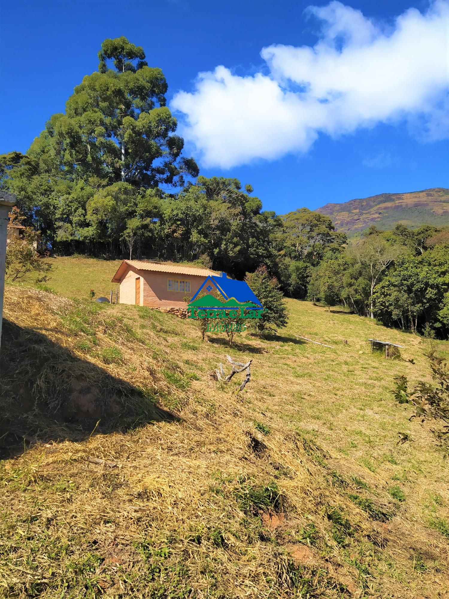 Fazenda à venda com 2 quartos, 4300m² - Foto 1