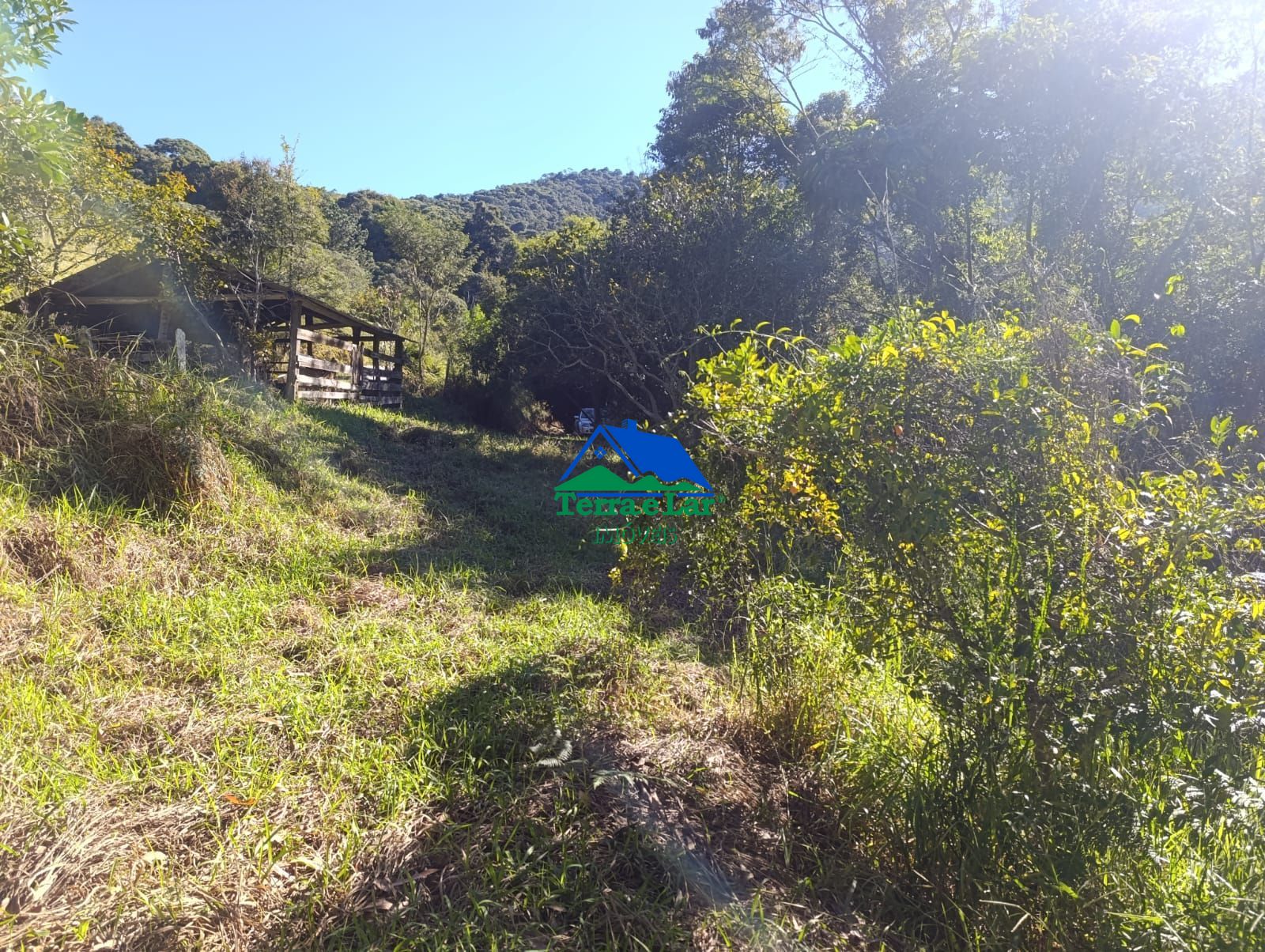 img329944122