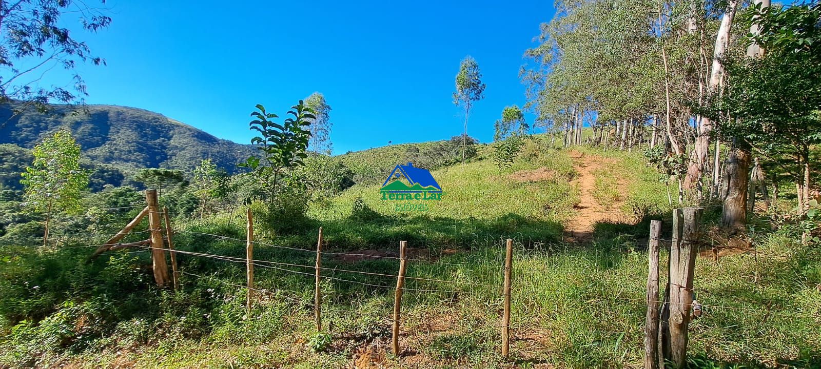 Fazenda/sítio/chácara/haras à venda  no Zona Rural - Liberdade, MG. Imóveis