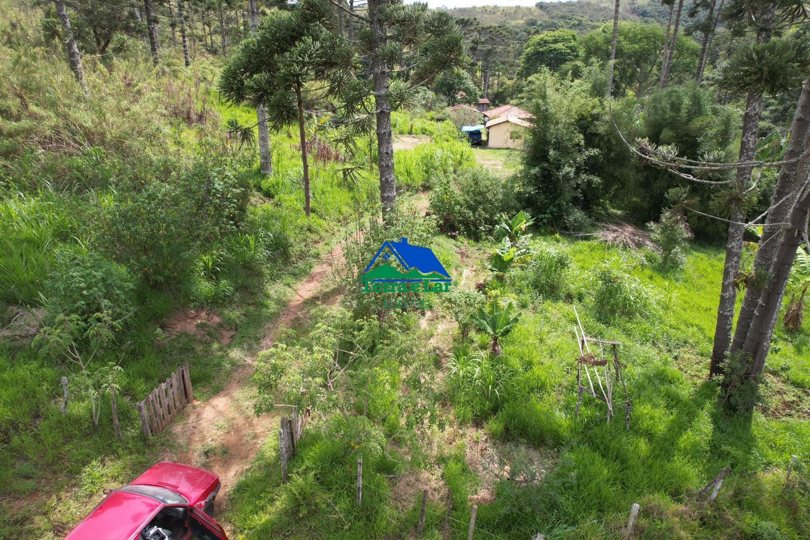 Chácara, 14 hectares - Foto 5