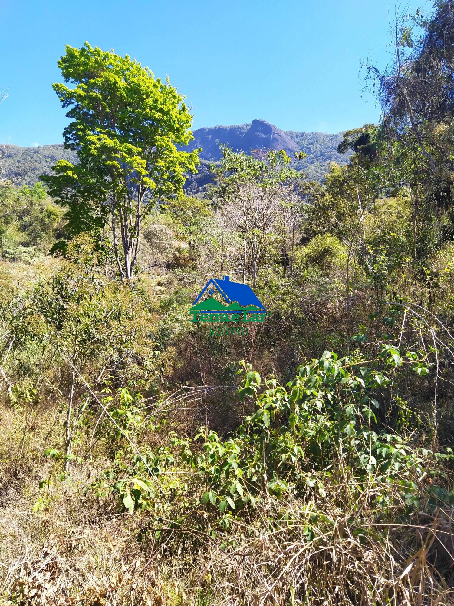 Terreno à venda, 20000m² - Foto 6