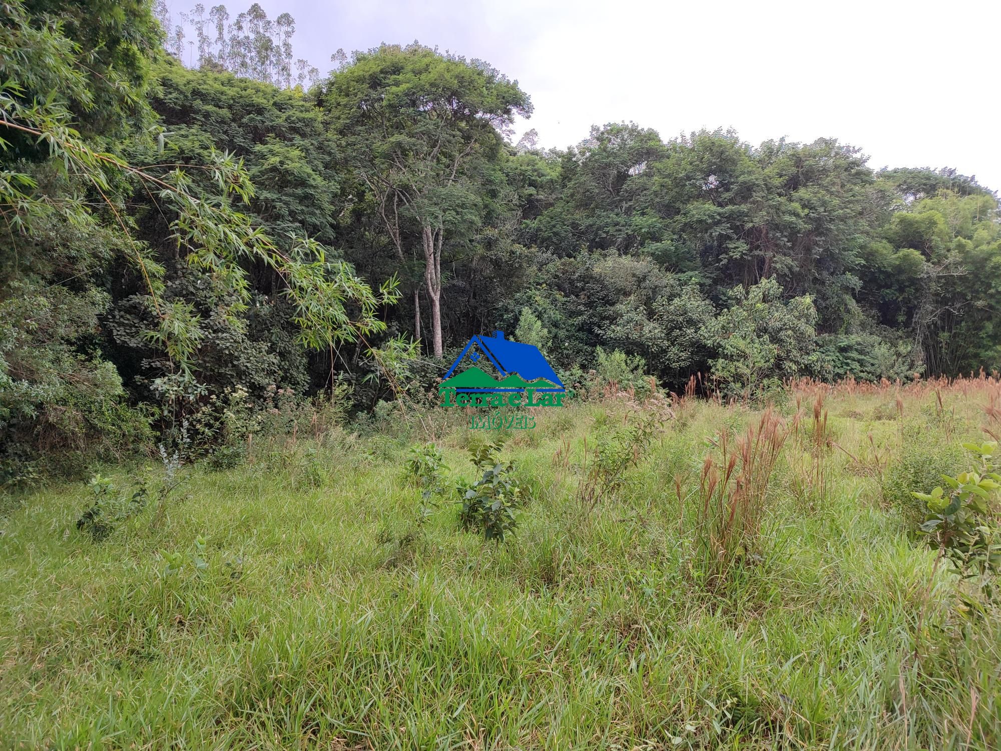 img192473957