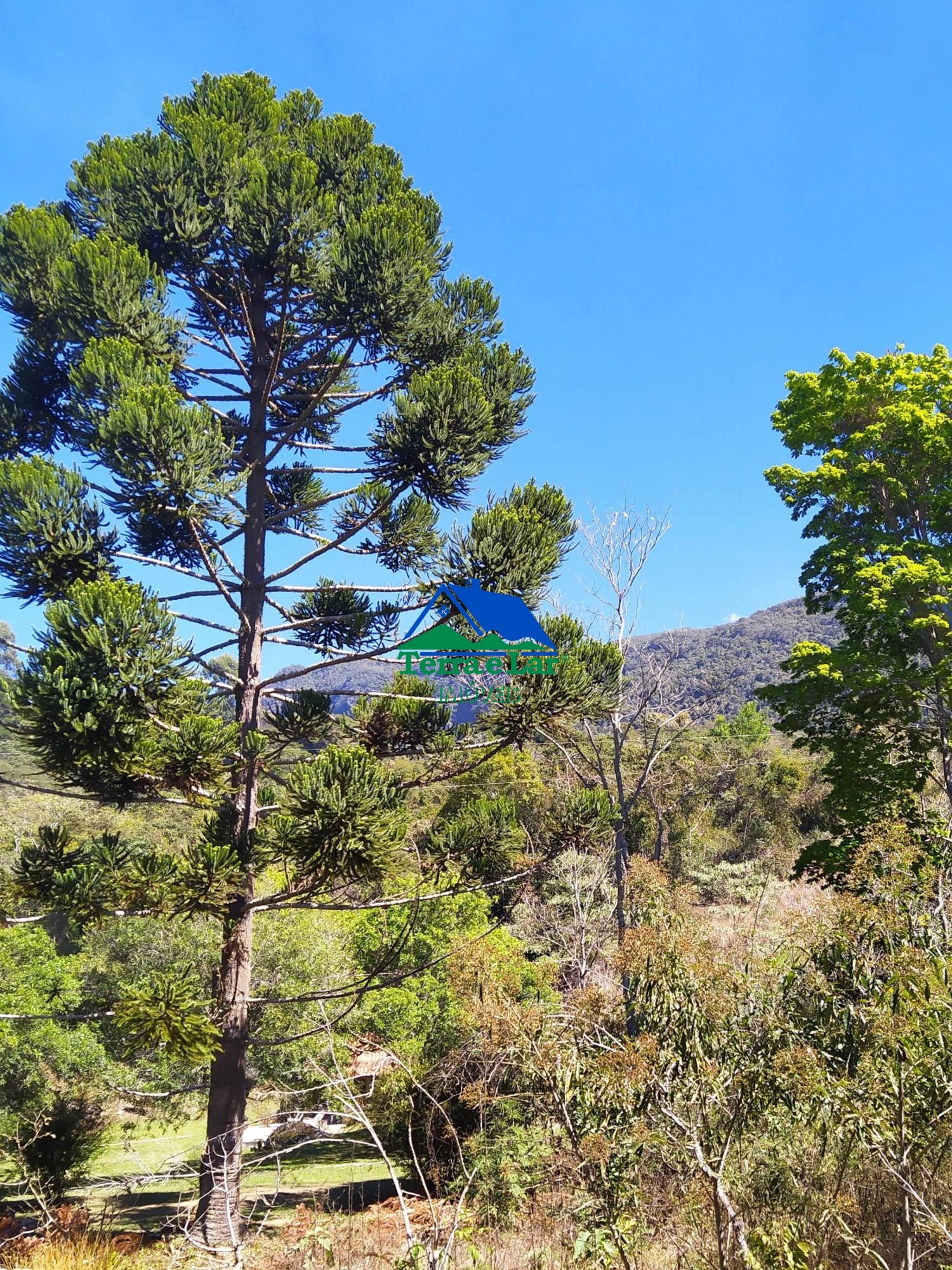 Terreno à venda, 20000m² - Foto 8