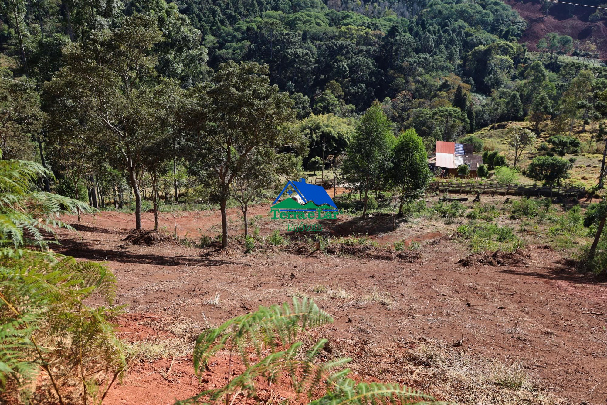 Sítio, 2 quartos, 76 hectares - Foto 18