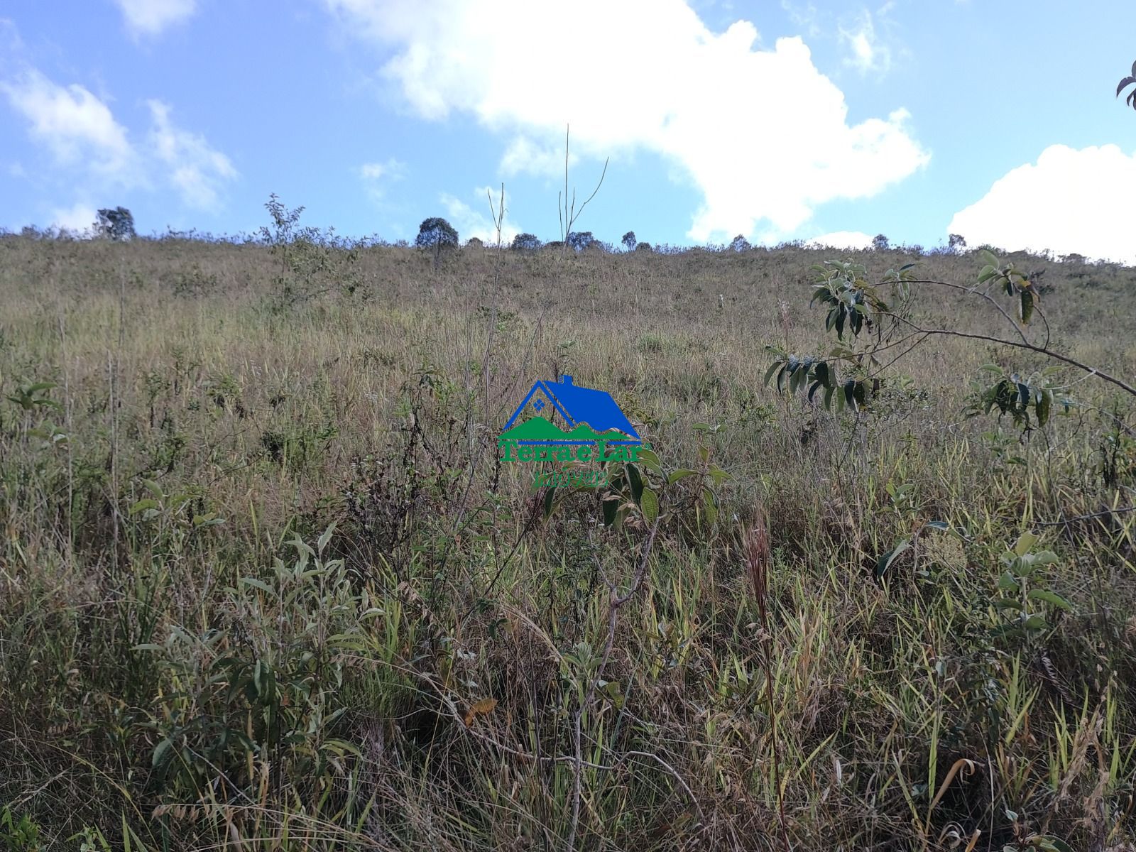 img335624157