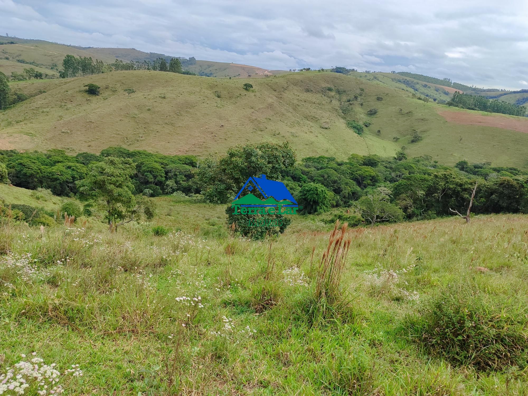 img192473945