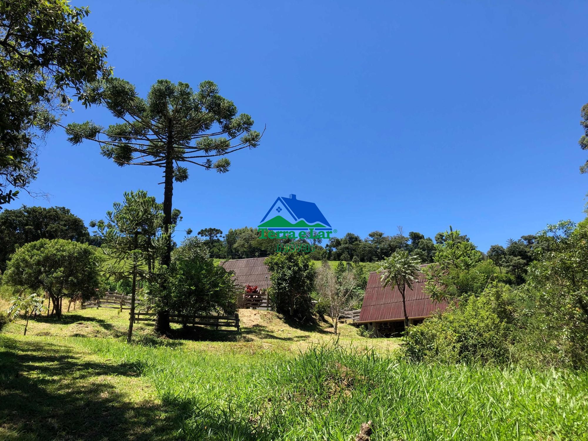 Fazenda à venda com 2 quartos, 190000m² - Foto 7