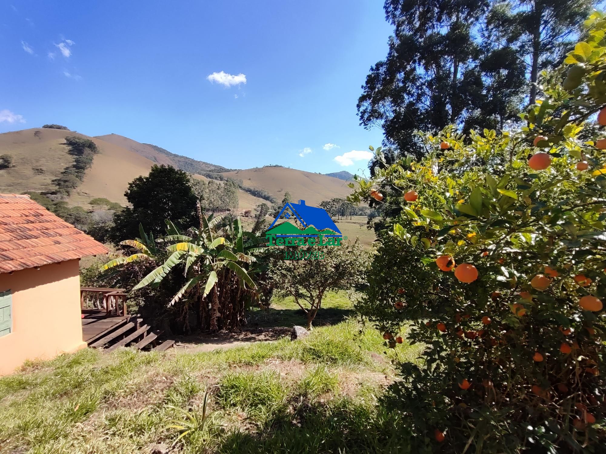 img253238757