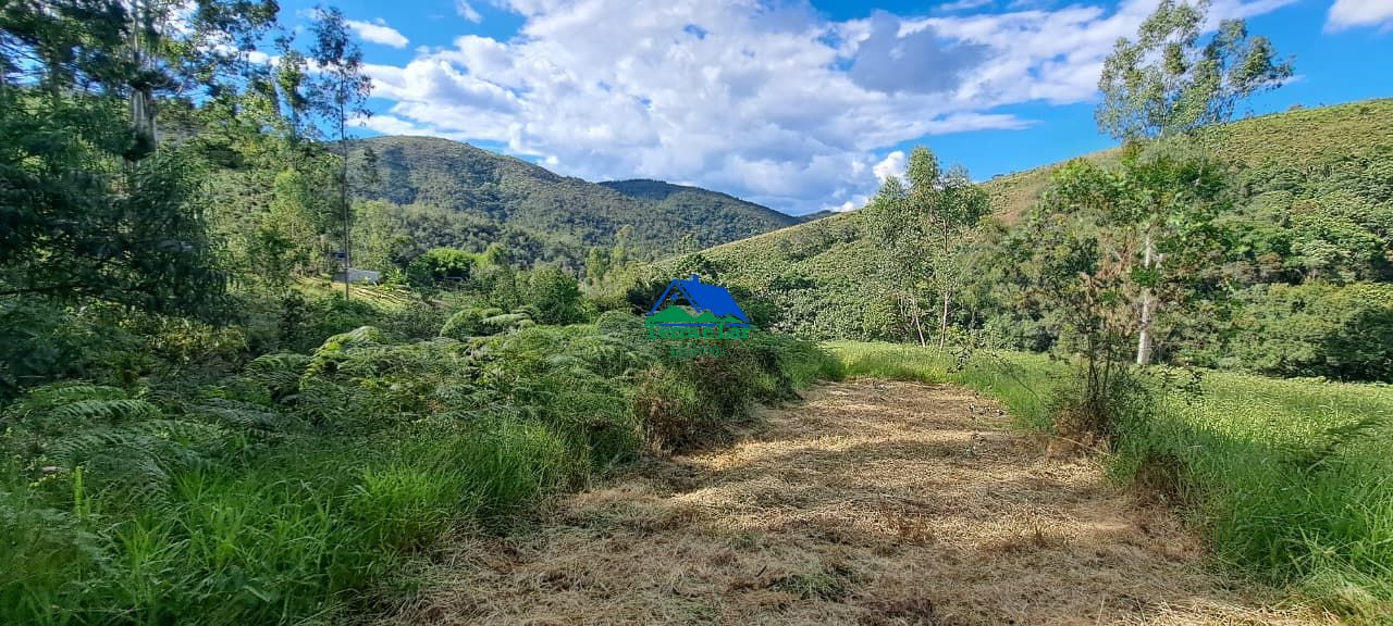 Fazenda/sítio/chácara/haras à venda  no Zona Rural - Liberdade, MG. Imóveis
