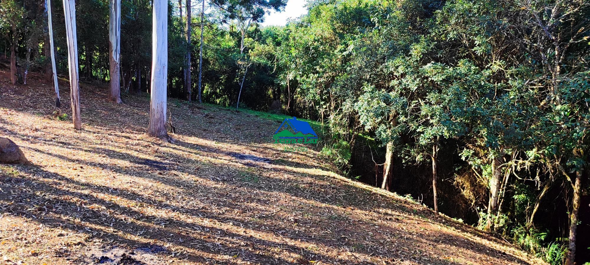 Fazenda à venda com 4 quartos, 400m² - Foto 5