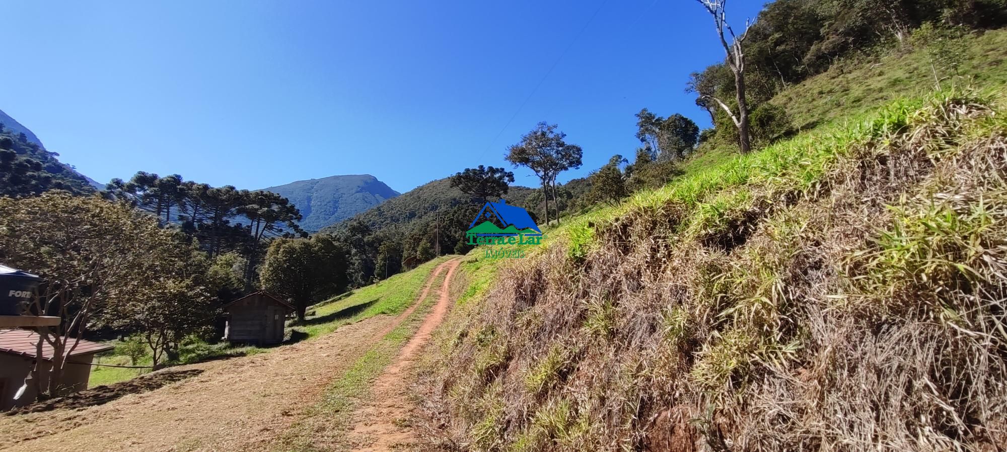 Sítio, 3 quartos, 18 hectares - Foto 18