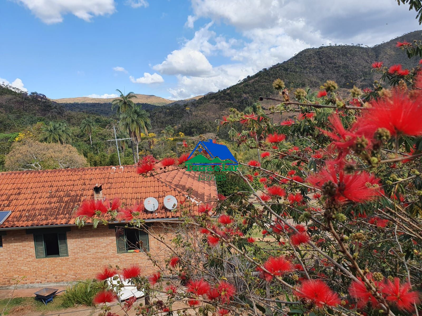 Fazenda à venda, 800m² - Foto 8