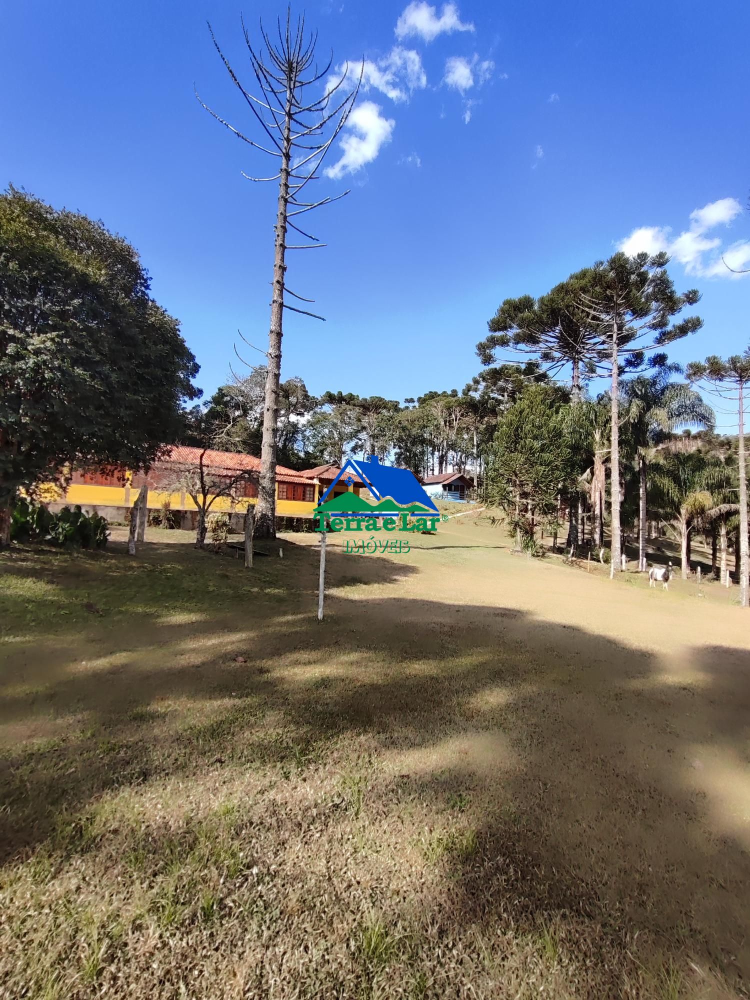 img258262185