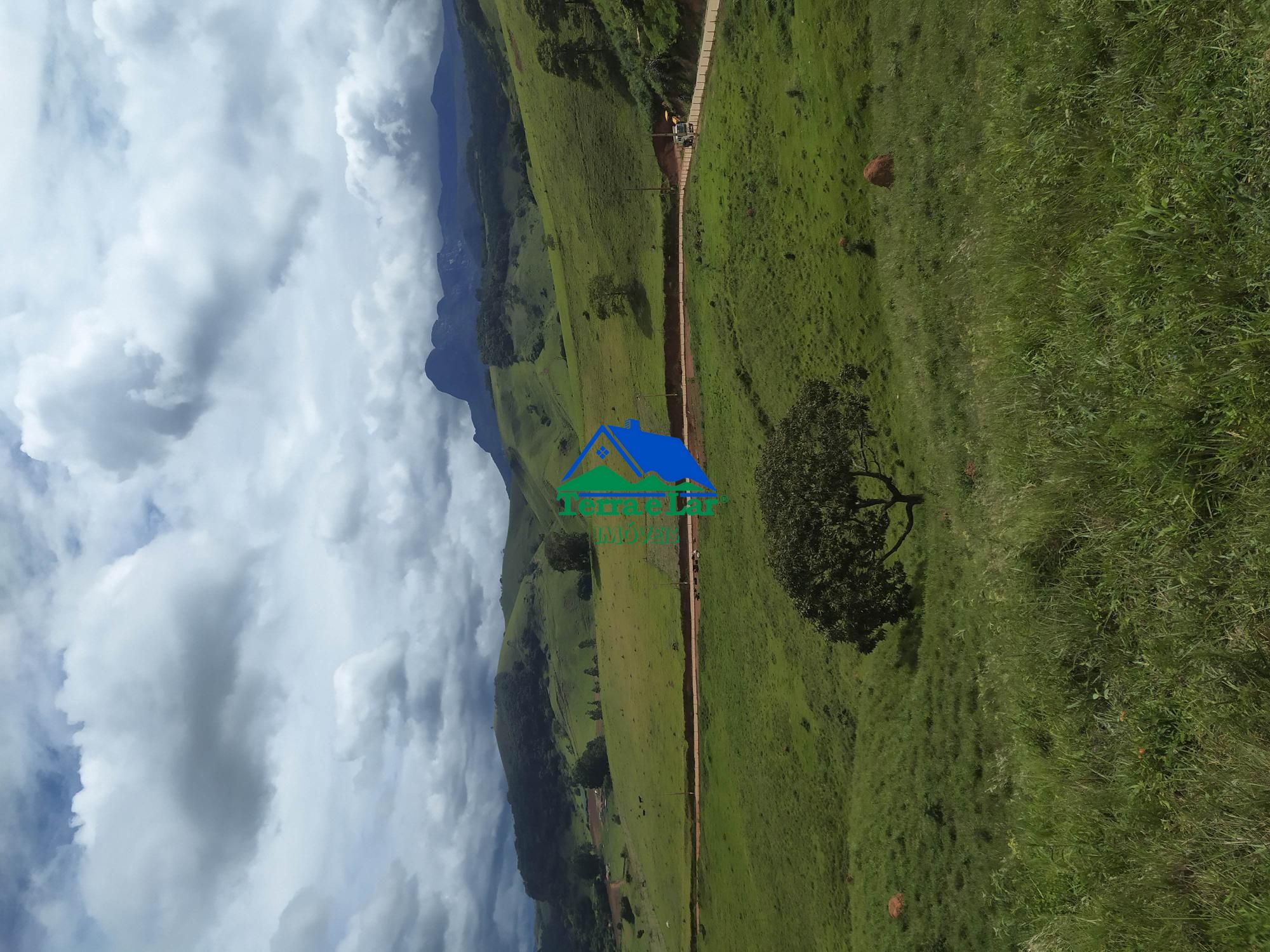 img145872741