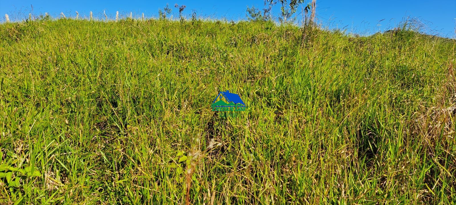 Chácara, 7 hectares - Foto 11
