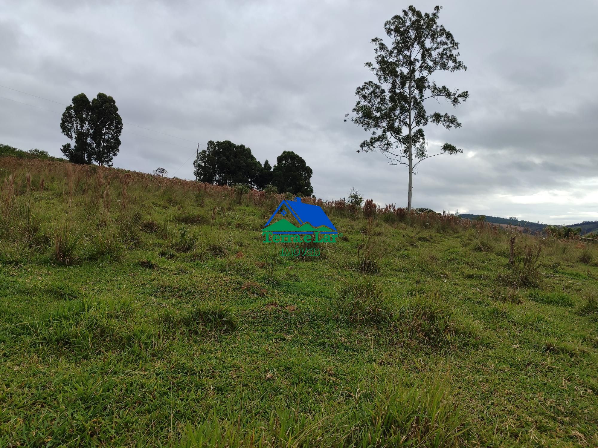 img192473983