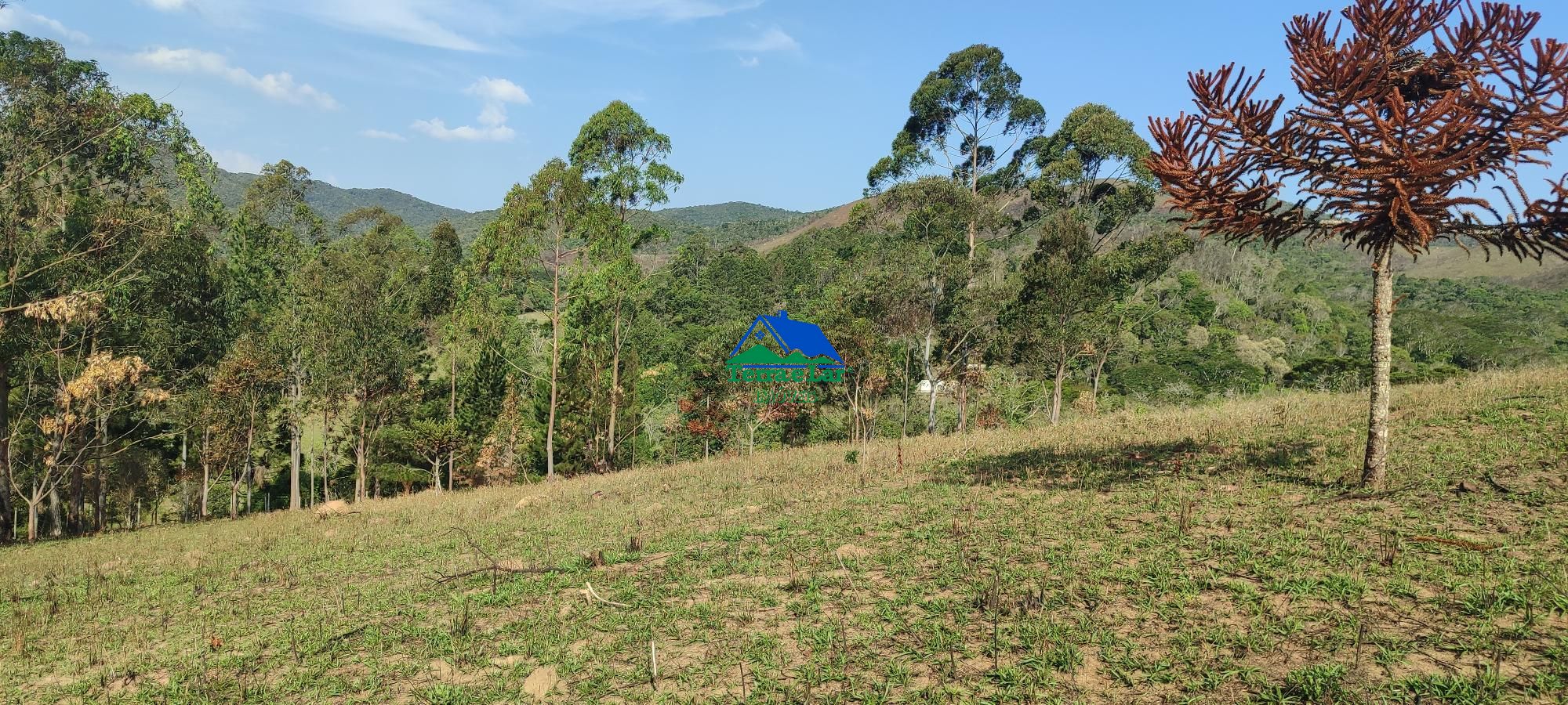 Chácara à venda com 3 quartos, 400m² - Foto 13