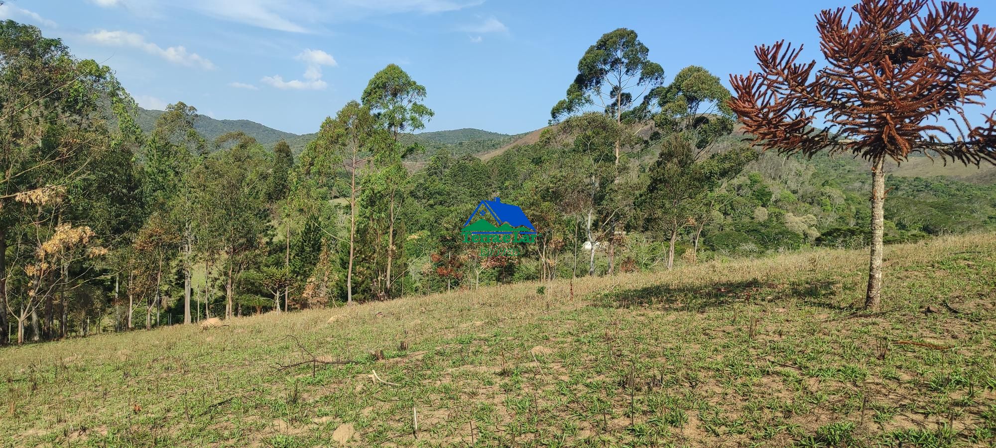 Fazenda à venda com 3 quartos, 400m² - Foto 13