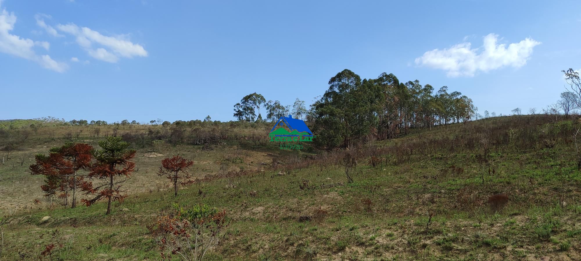 Fazenda à venda com 3 quartos, 400m² - Foto 17