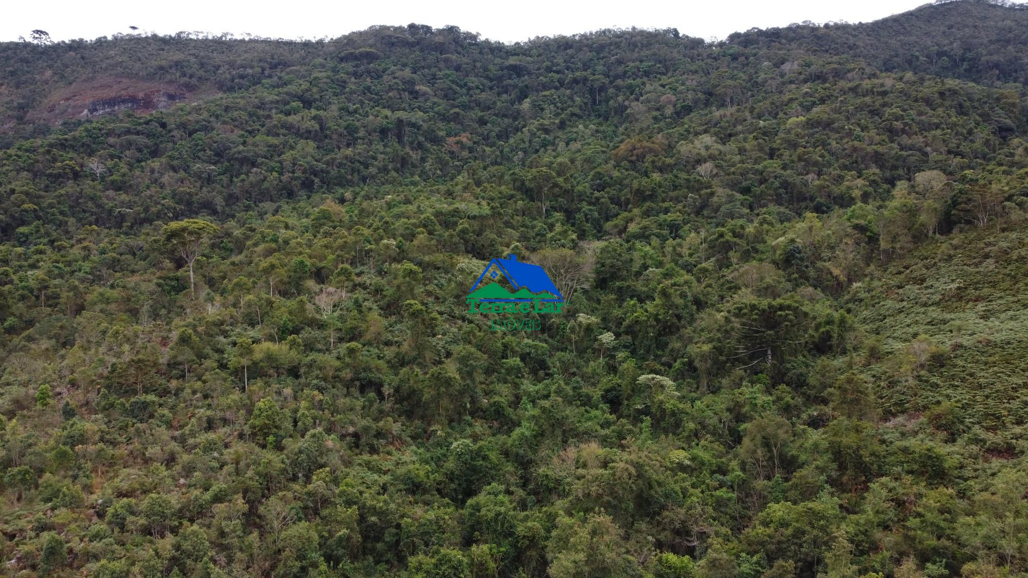 Terreno à venda, 470000m² - Foto 3