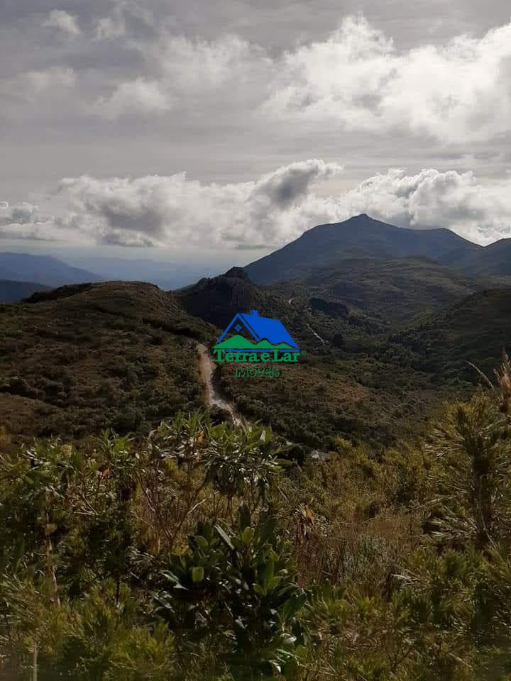 Fazenda à venda com 3 quartos, 470000m² - Foto 9