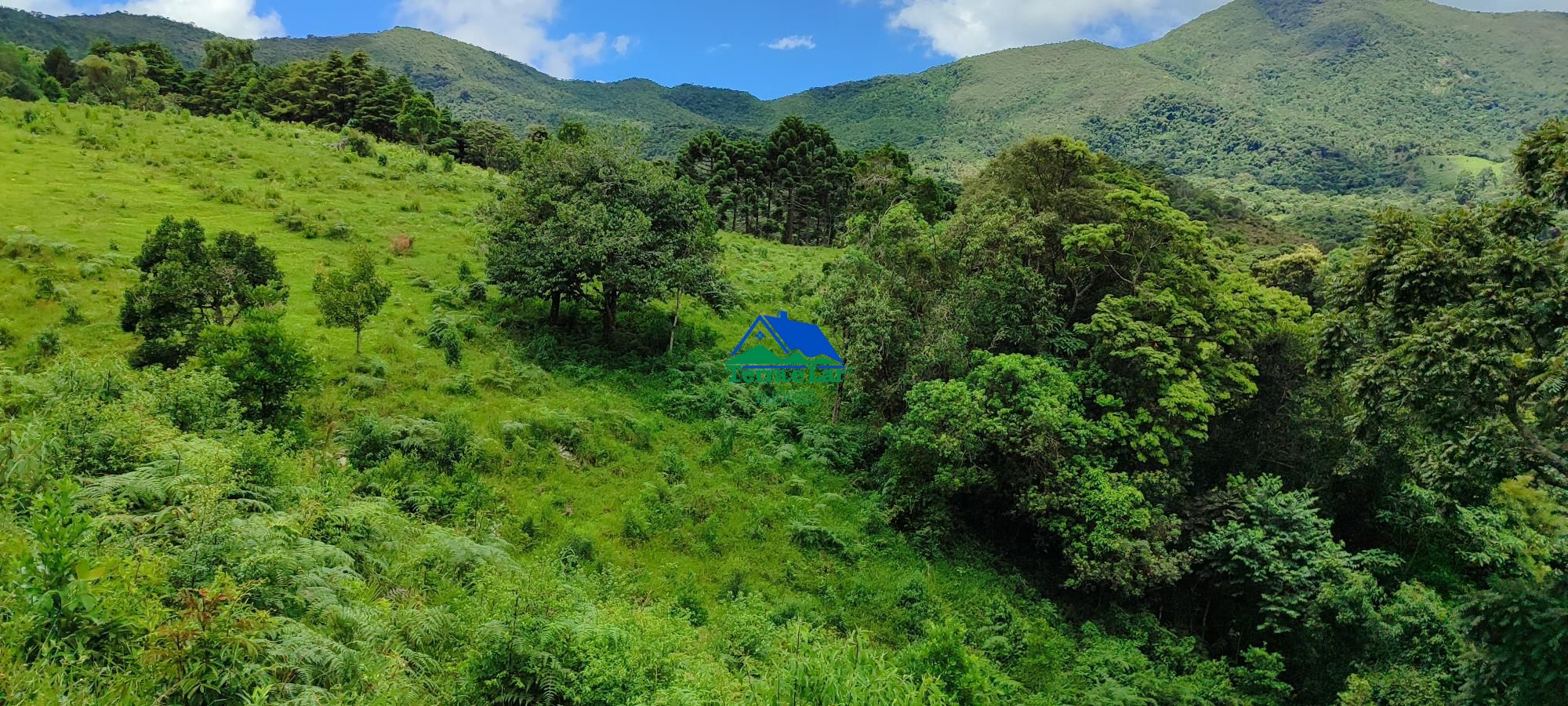 Terreno à venda, 460000m² - Foto 10