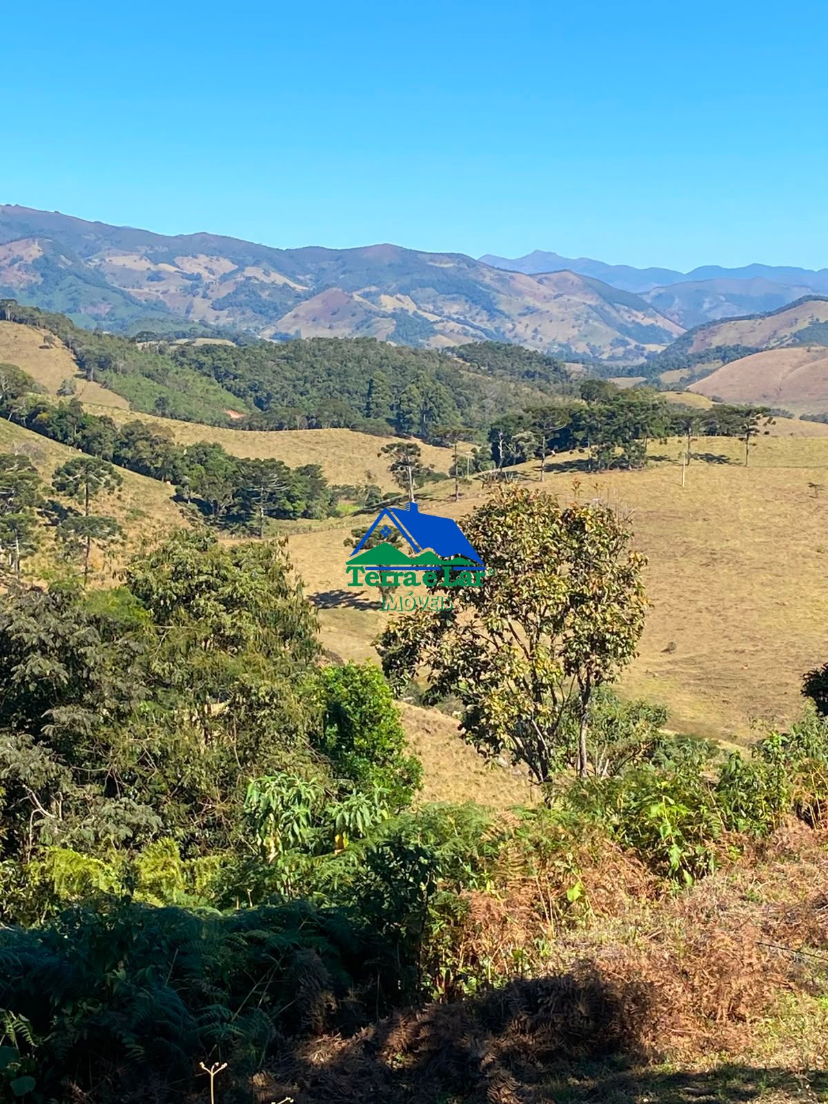 Fazenda/sítio/chácara/haras à venda, 150.000 m² por R$ 328.000,00 Fazenda/sítio/chácara/haras à venda, 150.000 m² por R$ 328.000,00