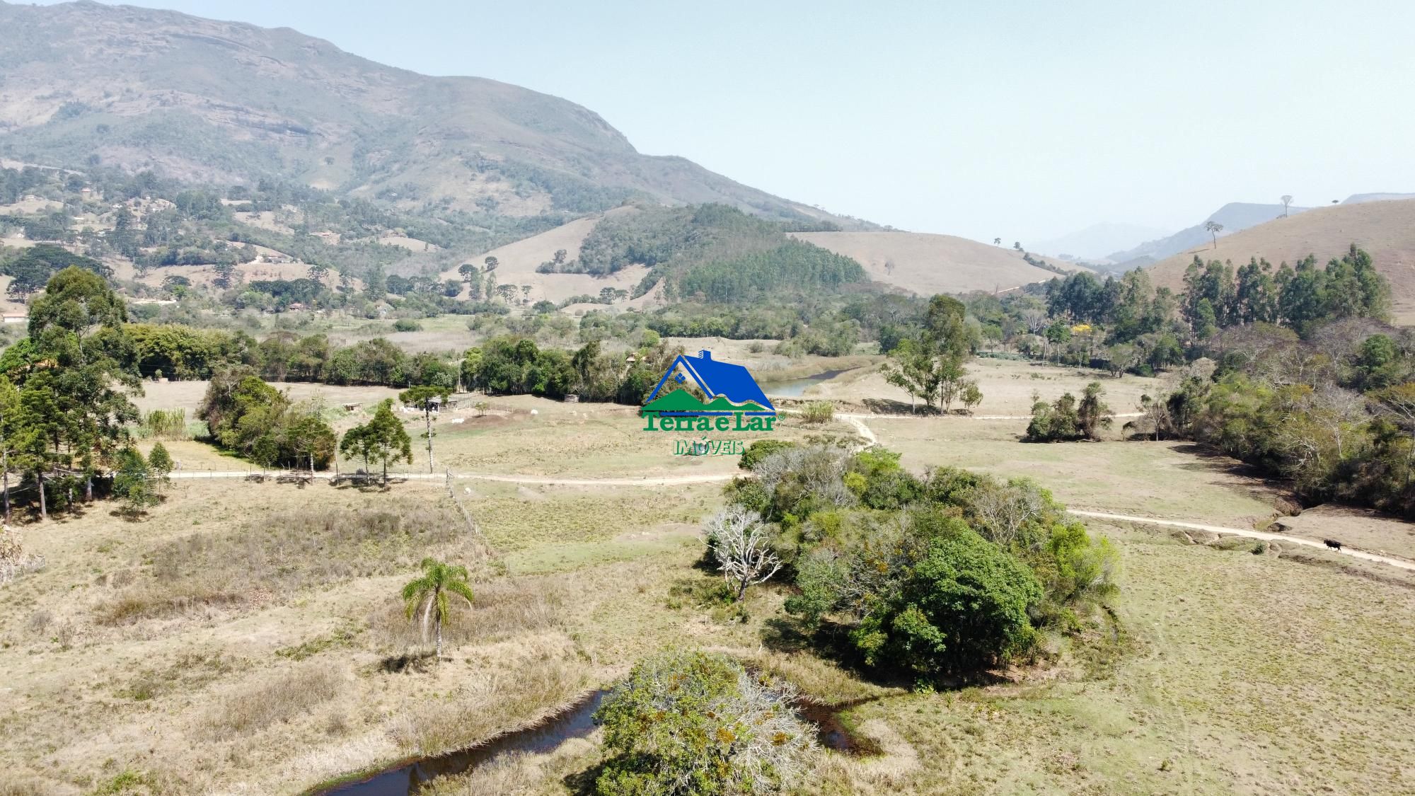 Fazenda à venda com 4 quartos, 12000m² - Foto 5