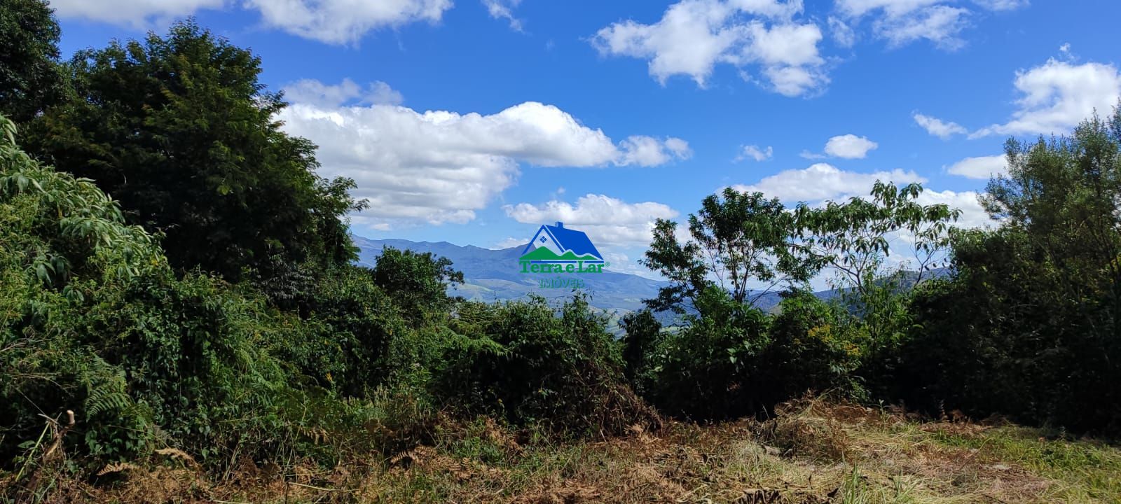 Chácara, 3 hectares - Foto 1