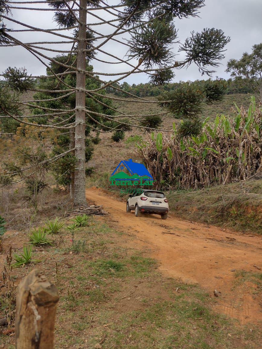 Fazenda à venda com 3 quartos, 470000m² - Foto 3