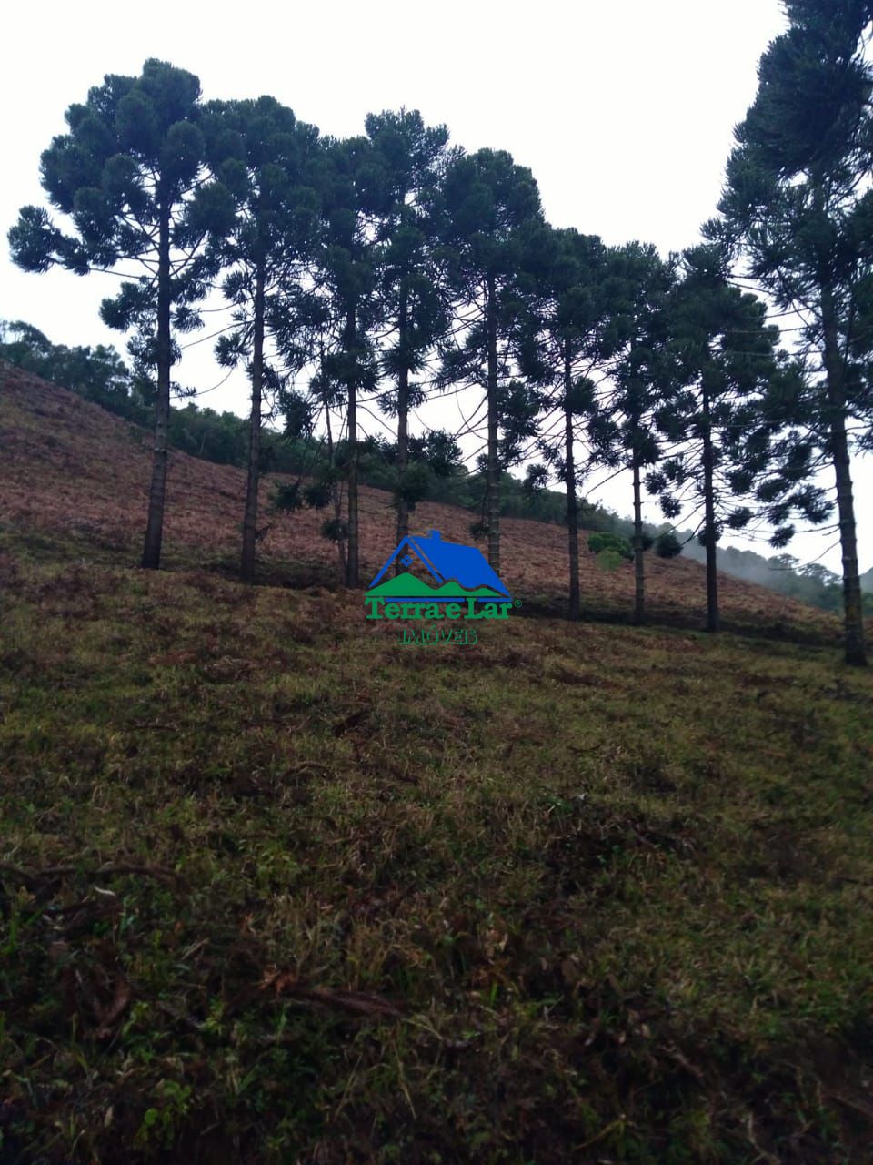 Sítio à venda com 3 quartos, 470000m² - Foto 12