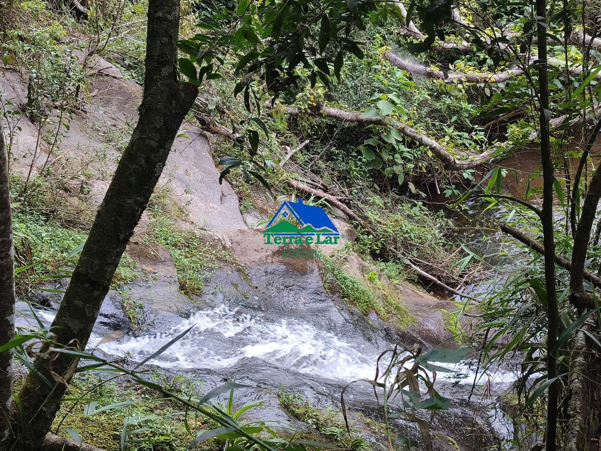 img192473969
