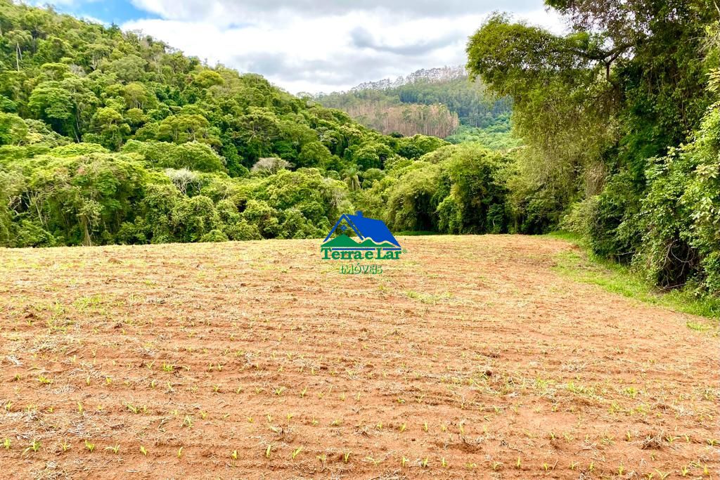 Fazenda à venda com 5 quartos, 1000m² - Foto 12