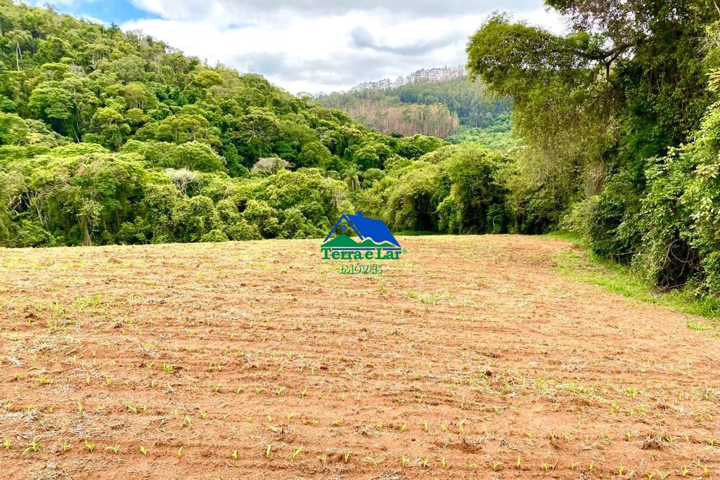 Fazenda à venda com 5 quartos, 10m² - Foto 12